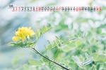 2021年10月小清新桌面日历壁纸图片