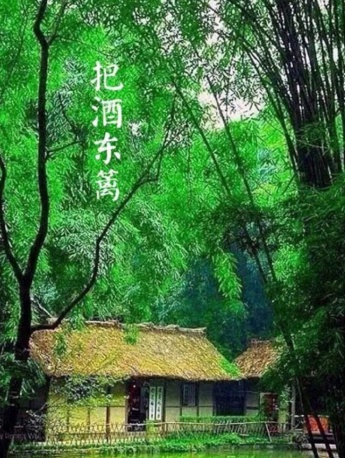 重阳节唯美插画风景手机壁纸