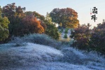24 solar term frost picture desktop wallpaper