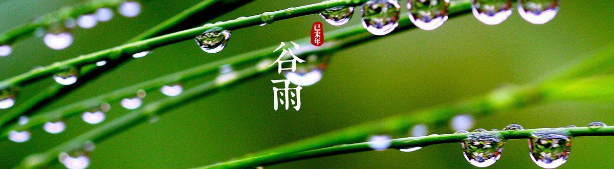 谷雨壁纸大全