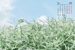 2022年3月绿色清新桌面日历壁纸