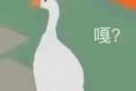 大鹅噶表情包