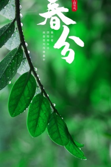 Twenty-four solar terms and spring equinox mobile wallpaper