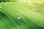 2022年3月绿色植物护眼高清日历壁纸