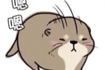 水獭嗯嗯表情包