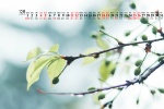 December 2021 green nature scenery calendar wallpaper