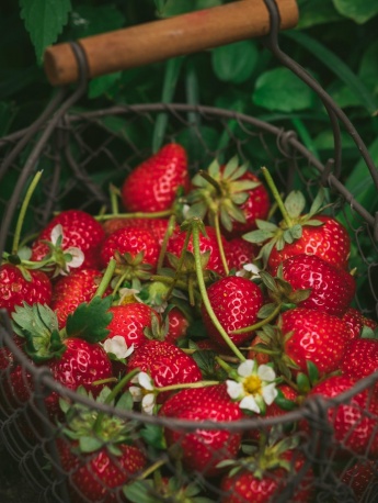 Tempting strawberry HD mobile wallpaper