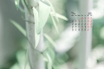 July 2021 eye-protecting green leaves and blue sky desktop calendar wallpaper