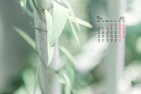 July 2021 eye-protecting green leaves and blue sky desktop calendar wallpaper