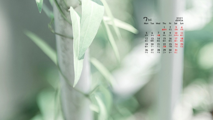 July 2021 eye-protecting green leaves and blue sky desktop calendar wallpaper