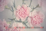 May 2021 Mother's Day Desktop Calendar Wallpaper