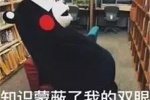 The latest version of Kumamon WeChat emoticon package pictures
