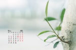 2021年9月护眼高清桌面日历壁纸