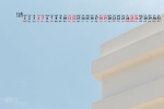 Simple and fresh calendar wallpaper for December 2021