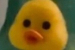 Summary of little yellow duck emoticons