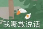 大鹅我哪敢说话表情包