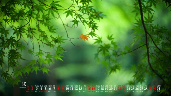 May 2021 green maple leaf desktop calendar wallpaper