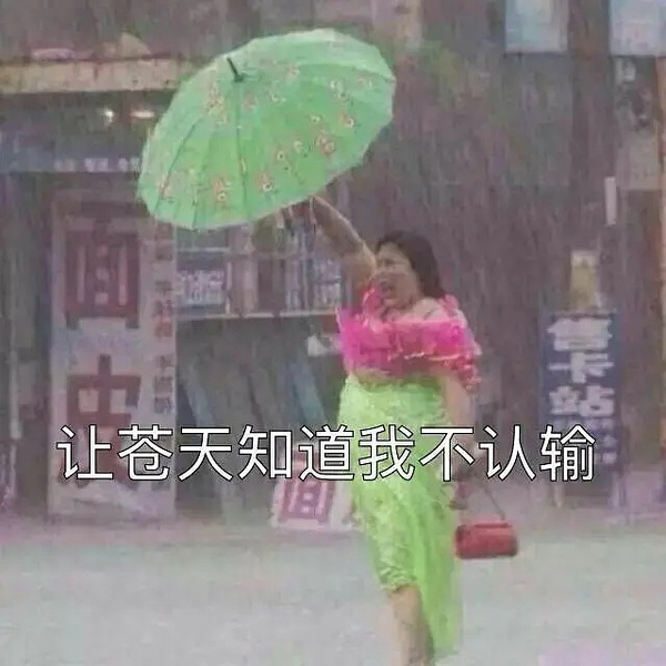 雨好大表情包