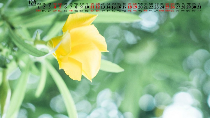 December 2021 green eye protection calendar desktop wallpaper