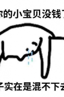 可爱猫咪哭穷表情包