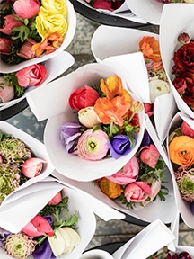 复古风唯美花卉手机壁纸