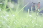 March 2022 green landscape nature desktop calendar wallpaper