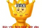 黄脸守夜冠军表情包