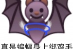 真是蝙蝠身上绑鸡毛你当自己是个什么鸟