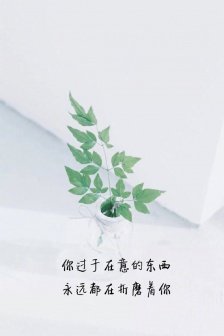 Inspirational text quotes HD mobile wallpaper