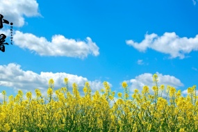 Traditional solar term Xiaoshu pictures desktop wallpaper