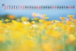 May 2021 small fresh flowers and plants desktop calendar wallpaper