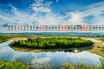 2021年12月绿色自然风景桌面日历壁纸