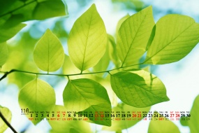 November 2021 fresh eye-protecting green desktop calendar wallpaper