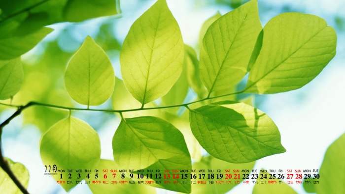 2021年11月小清新护眼绿色桌面日历壁纸