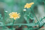 Eye protection green desktop calendar wallpaper picture for October 2021