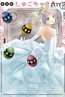 Protective Sweetheart's 20th Anniversary New Edition, All 6 Volume Covers