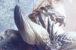 Monster Hunter theme mobile wallpaper