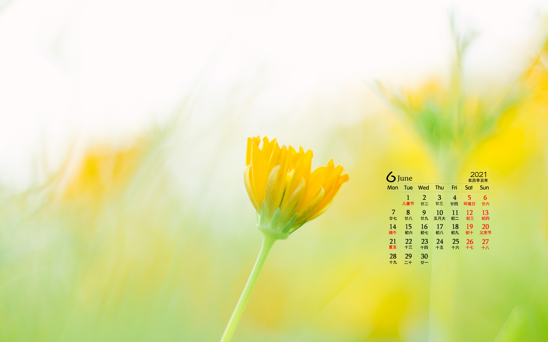 2021年6月黄色小花朵唯美桌面日历壁纸