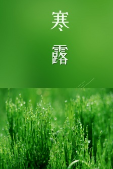 24節氣寒露手機壁紙圖片