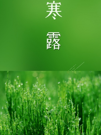 24 solar terms cold dew mobile wallpaper pictures