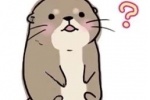 水獭疑问表情包