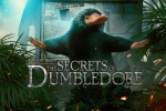 电影《神奇动物：邓布利多之谜》海报图片