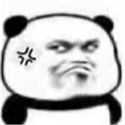2021宝藏熊猫头的搞笑表情包图片