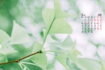 March 2022 park flowers and leaves desktop calendar wallpaper