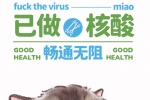 猫咪已做核酸主题手机壁纸