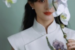 Zhao Liying's gentle and sexy photo in cheongsam
