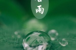 传统二十四节气谷雨手机壁纸