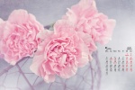 May 2021 Mother's Day Flowers Desktop Calendar Wallpaper