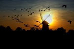 Old Dutch windmill pictures desktop wallpaper