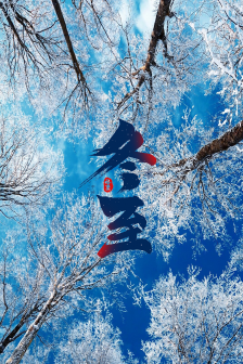 冬至手机壁纸图片